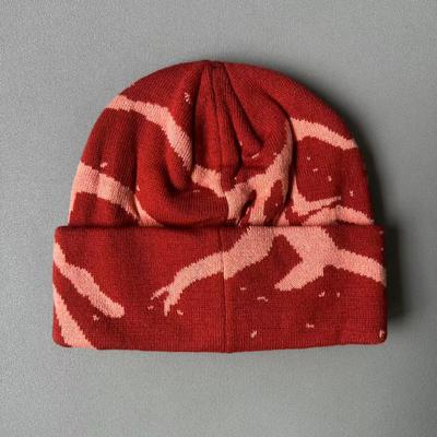 Knitted Hat Embroidered Warm Hat Wool Hat Cap Hat