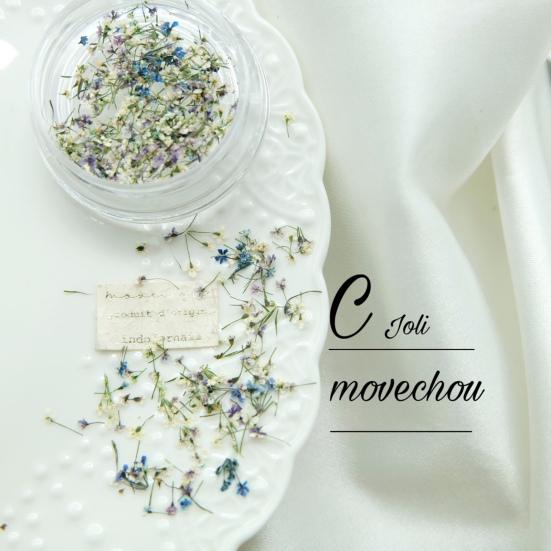 Nail Art Flower Decoration Multiple Color Nail Beauty UV Glue Filler Nail Charm Dried Flower Decoration Nail Supplies