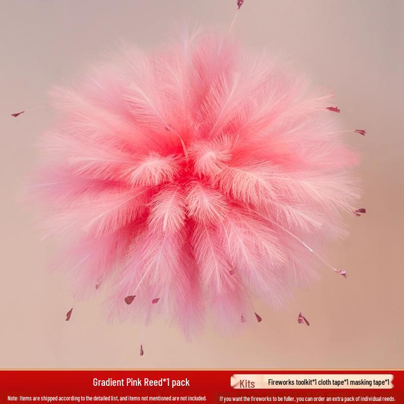 Colorful Gradient Pink Fireworks Decoration