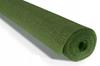 Bibuła Dekor Krep 50x250 Cm 180GR 565 ZIELONA ŁODY