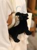 New Goat Plush Toys White Black Sheep Doll Simulation Goat Plushie Toys Stuffed Animals Sheep Doll Home Decor Kids Toys