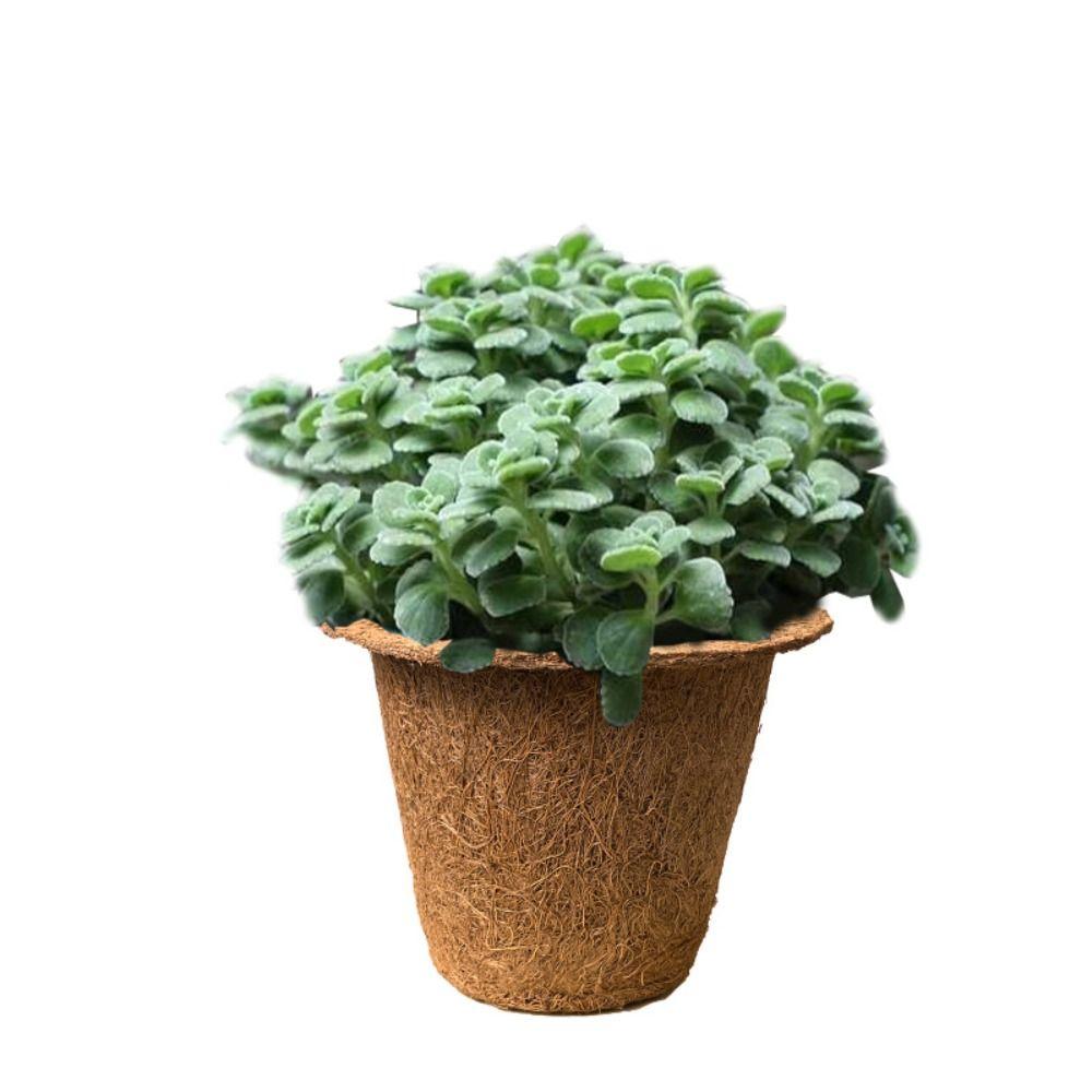 3pcs Biodegradable Nursery Pots Coconut Fiber Flower Pot  For Plant Garden Supply
