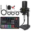 V8s English Sound Card Device: Desktop and Mobile Live Broadcast & Recording Set
