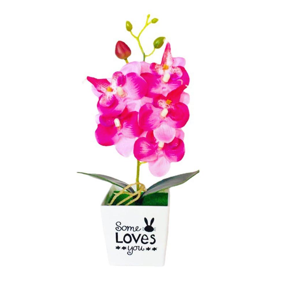 Retro Potted Phalaenopsis Plant Effortless Beauty for Your Living Space