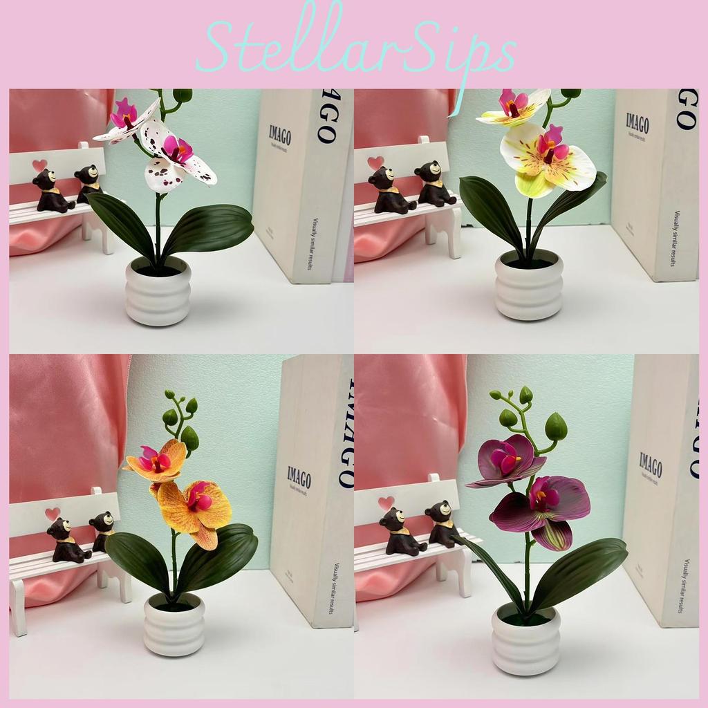 Butterfly Orchid Artificial Plant With 3d Printing For Home Decor And Photography Props