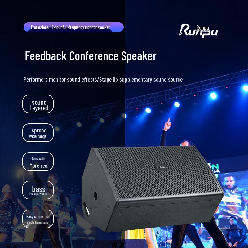Runpu 12-inch Professional Passive Floor Monitor Speaker CN plug (adapter included)