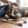 Gatos – Brinquedos para gatos