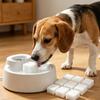 12Pcs Kitten Water Fountain Filter Olyurethane Sponge Filter for 64Oz/2L Adjustable Water Flowing Pet Fountain Accessories