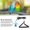 Outdoor Pet Bird Cute Harness Lsh Parrots Flying Training   Rope Straps