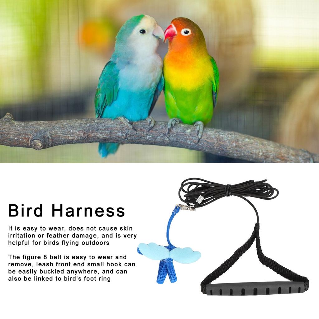 Outdoor Pet Bird Cute Harness Lsh Parrots Flying Training Rope Straps