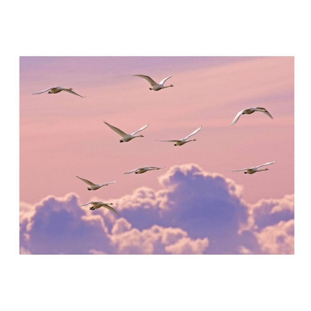 Ben Hall Whooper Swans Print