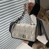 Classic High-end Printed Bag Women's New Fashion Chain Niche Popular Trendy Versatile Messenger Bag Shoulder Bag