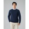 Men's Winter 2025 Cashmere Round Neck Sweater - Thick, Long Sleeve, Business Casual, Solid Color Knit Base Layer