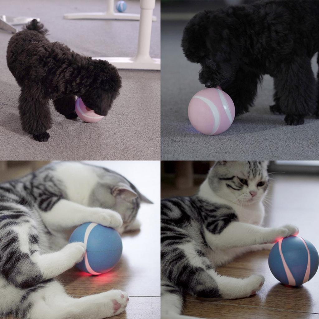 remote control cat toy ball