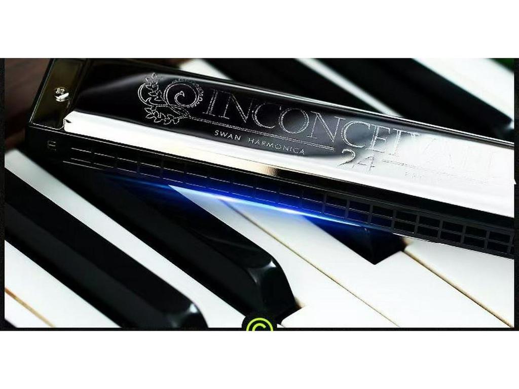 Swan 24-Hole Harmonica Set: 7-Piece and 12-Piece Options, ABCDEFG Keys, for Students and Adults, Beginner Wind Instrument.