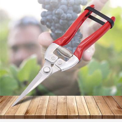 1/3PCS Gardening Hand Pruner Garden Scissors Pruning Shears Micro-Tip Pruning Snips Leaf Trimmer Straight Florist Scissor Tool