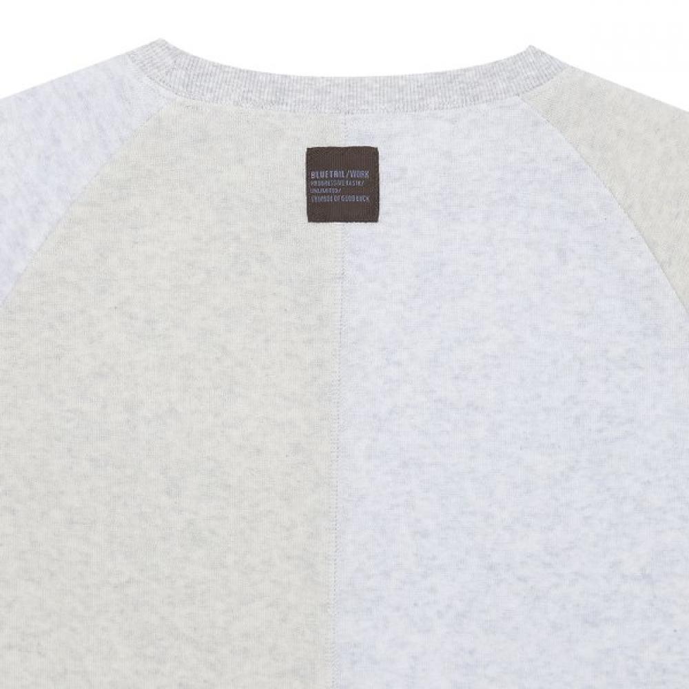 BlueTail Color Block CuT Tery Raglan S S T ShirT azc2TS01lg