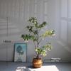 1.4m faux water banyan with small black pot & basket