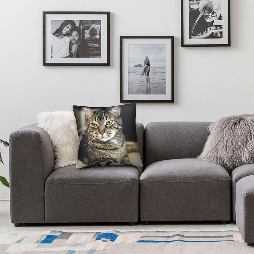 Tabby Cat Pillow Cover Print Cushion Cover Vintage Pillow Case For Sofa Bedroom Home Decor