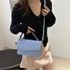Trendy Ins Inspired Small Square Handbag Stylish Casual Crossbody Bag For Summer