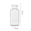 Elegant Glass Vase for Plant Propagation And Floral Display