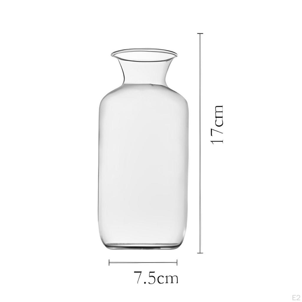 Elegant Glass Vase for Plant Propagation And Floral Display