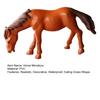 Micro Landscape Ornaments Realistic Horse Miniature Waterproof Small Horse Figurine for Moss Gardens Fish Tanks Desk Decor