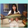 Adorable 3d Plush Fish Toy Collection Featuring Piranha Bass And Trout For Kids