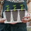 Planten Startbakjes 6-delige Herbruikbare Zelf-Drainerende Zaailing Starter Kit Tuinpot Voor Binnen Buiten Tuin Terras Achtertuin