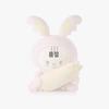 SEVENTEEN's Designated Artemetorum Doll Blanket Set