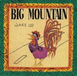 

CD BIG MOUNTAIN - wake up BVCG637 Quality Records 1995 Japan Reggae, Ska & Dub Used