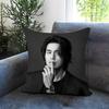 Fashion LLee Dong Wookful Cushion Cover Comfortable Reversible Pillow Cover Ideal for Car Sofa Bedroom  Beyond