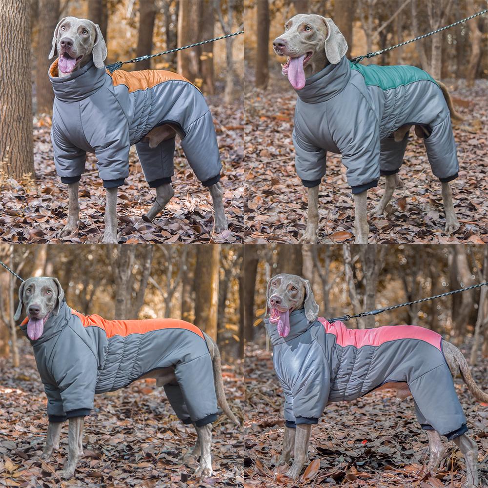 Tuta per cani di grossa taglia Abbigliamento per cani impermeabile per cani di taglia media Tutina invernale Tutina per animali domestici Giacca Bulldog francese Costume da Labrador