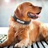 2025 New Hot SaleCarved Dog Collar ID Tag Anti-lost Solid PU Leather For Small Medium Large Dogs Puppy Cat Pet Supplies