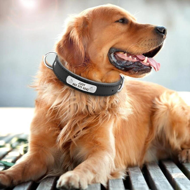 2025 New Hot SaleCarved Dog Collar ID Tag Anti-lost Solid PU Leather For Small Medium Large Dogs Puppy Cat Pet Supplies