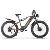 Bici Elettrica da Montagna RICH BIT C01, Batteria 48V 20AH, Sospensione Integrale, Shimano 7 Velocità
