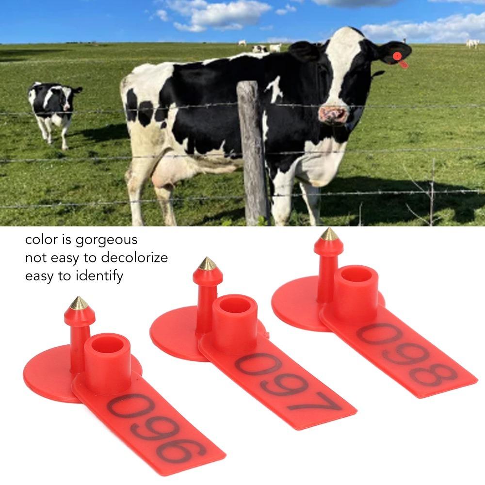 100Pcs PP Livestock Ear Tags Lightweight Livestock Identification Card Ear Tags Rabbit