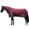 W-Horse R347 James Abnehmbares Halsteil Pferde-Ausreitdecke & Halsteil