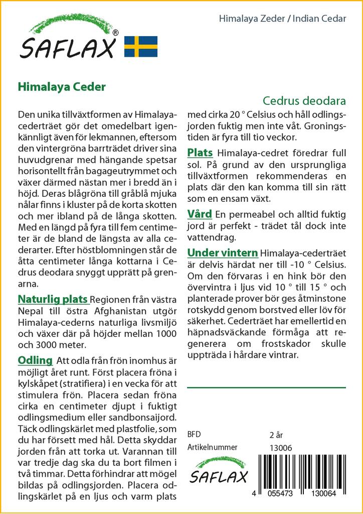 SAFLAX India seeder - 35 seemet - Cedrus deodara