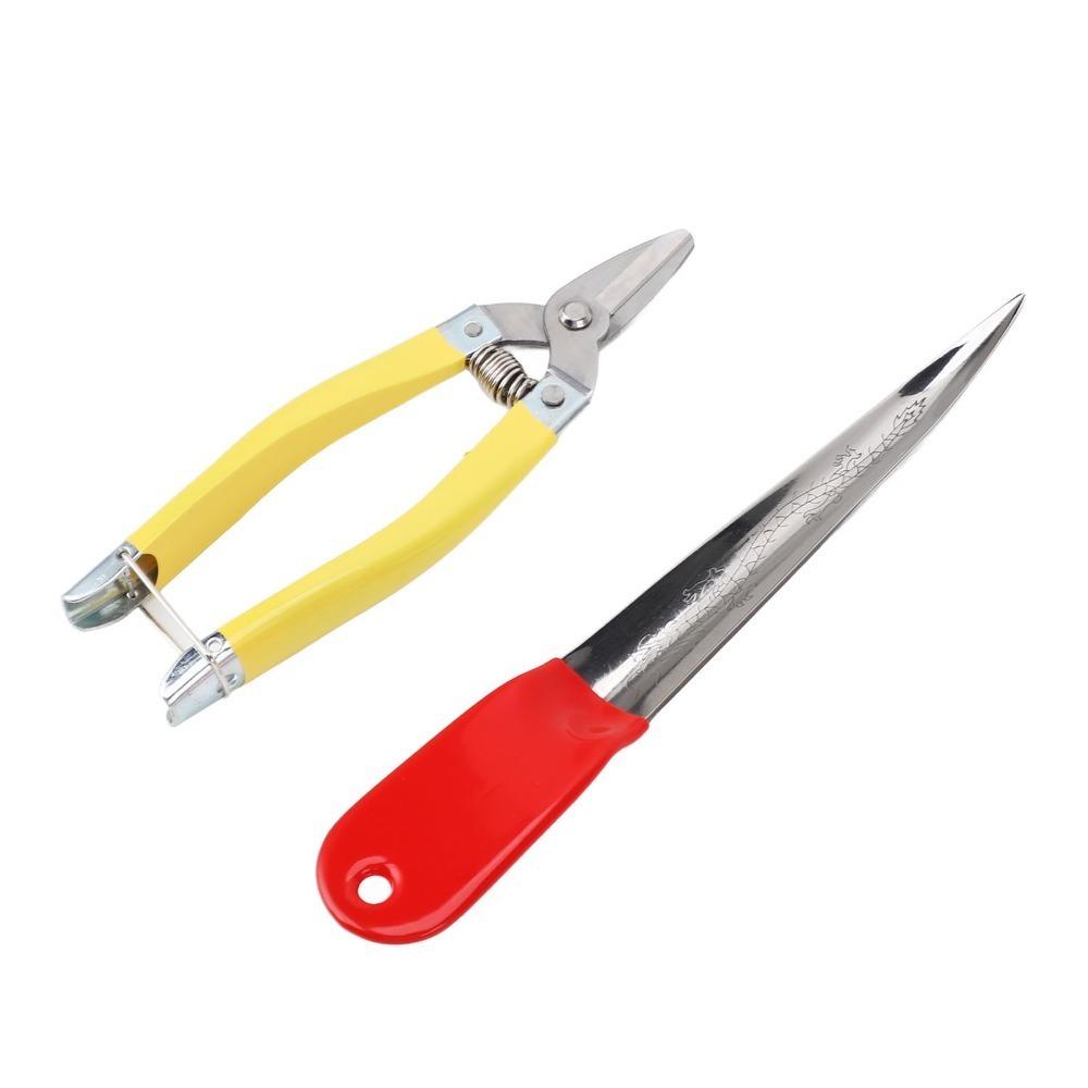 

2Pcs Easy Use Stainless Steel Rattan Weaving Tool Dragon Pattern Practical Weaving Tool Durable Rattan Tool Basket Making