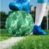 Hibernian FC Size 5 Standard Football Durable Training Match Soccer Ball for Adult Outdoor Sports