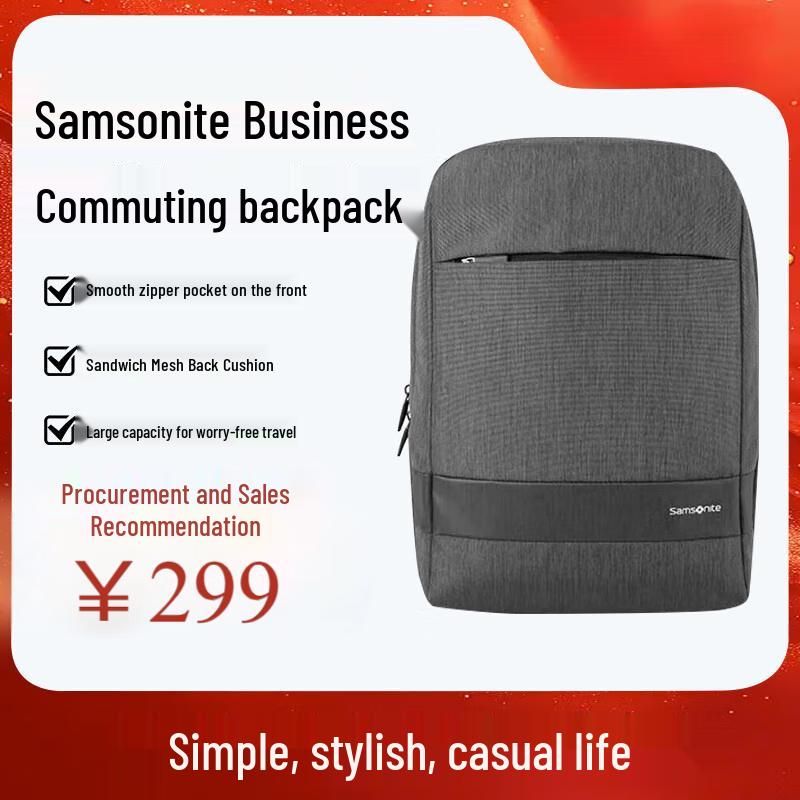 Samsonite Business Commuter Laptop Backpack Standard