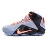 LeBron 12 Easter