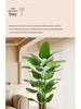 Large Faux Bird of Paradise Tree - Indoor Living Room Floor-Standing Luxury Green Plant Decor