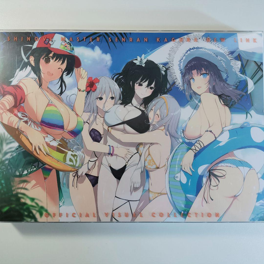 

[Б/У] Shinobi Master Senran Kagura Официальная коллекция визуальных материалов Артбук