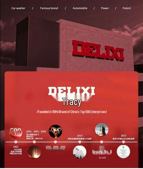 Delixi Dual Voltage Electric Welder 250/315/400A, Industrial Grade, 220V/380V, All-Copper, Automatic.