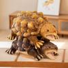 Alligator Snapping Turtle Plush Toy, Turtle Gifts, Stuffed Animal, Kids Toy, Ocean Animal, Aquarium, Animal Present, 55cm