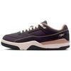 Air Flight Court Anthracite Hemp Women Sneakers Blue Black Coconut-Milk FZ9854-001