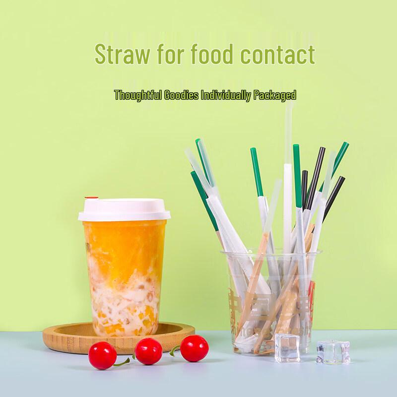 ZISIZ Disposable Food-Grade Straws