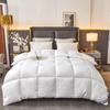 Thickened Feather Silk and White Goose Down Blend Quilt